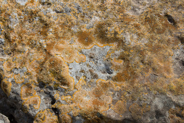 stone texture 