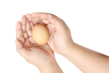 Egg in hand isolated