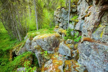 Forest on granite rocks and canyons in Finland