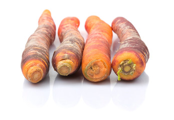 Purple orange carrot variety over white background