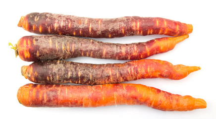 Purple orange carrot variety over white background