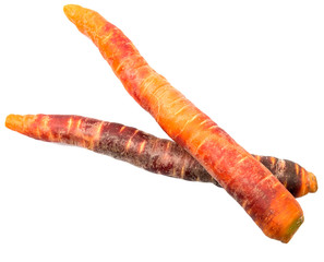 Purple orange carrot variety over white background