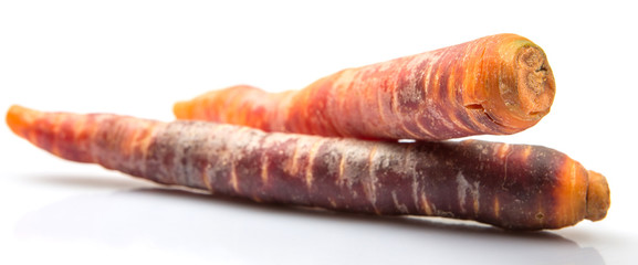 Purple orange carrot variety over white background