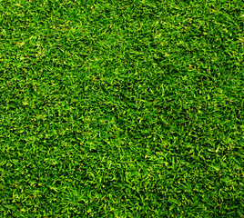 artificial grass - 104722534