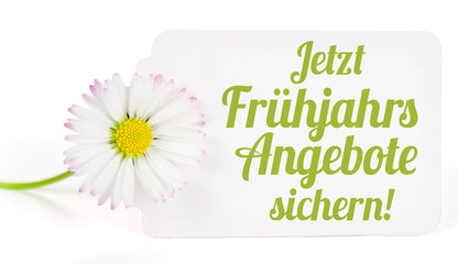 Jetzt Frühjahrsangebote sichern 