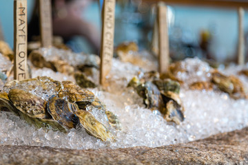 Raw Oysters on Ice