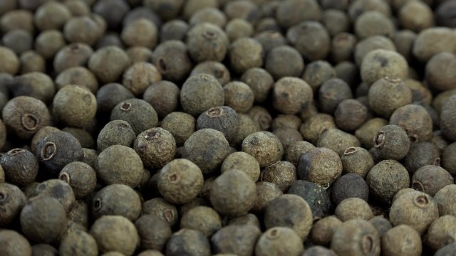Portion of rotating Allspice (seamless loopable 4K footage)