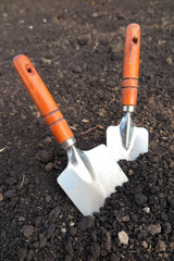 Garden hand trowels in the loosen soil in the garden