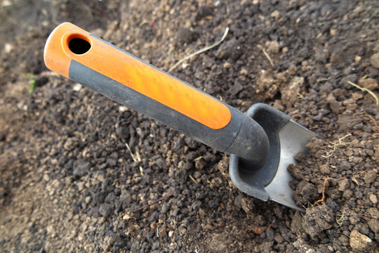 Garden scoop in the loosen soil in the garden