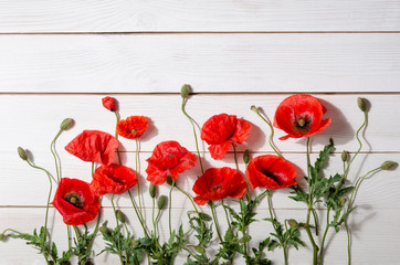 beautiful red poppies on old white wooden table