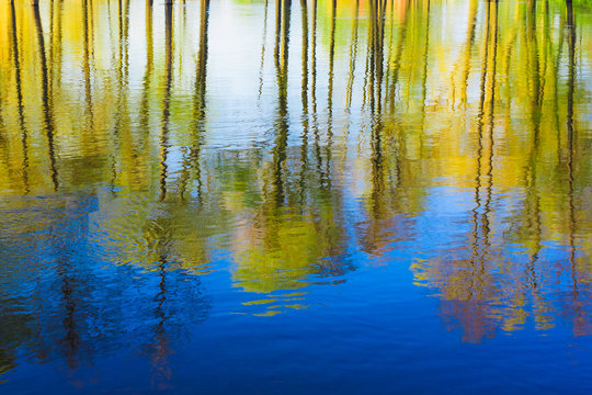 Reflection of Trees woods in river Water During A Spring Flood. 