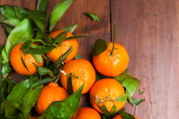 Fototapeta na wymiar Fresh tangerine clementine on the wooden table, top view