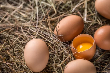 Meubelstickers Fresh brown eggs © Grafvision