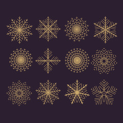 Set of 12 vector abstract snowflakes