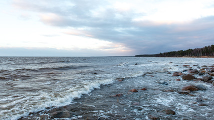 Storm large wave on the shore of the Baltic sea