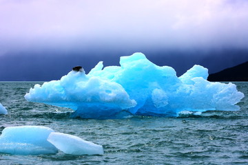 Fototapeta na wymiar iceberg / while traveling through Argentina we saw this iceberg floating in the cold waters of Patagonia
