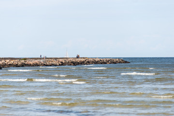 Birds on the rocks in the sea