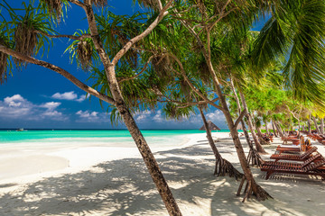 Beach beds in the shade of palm trees on tropical beach in Maldi