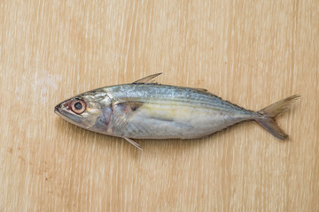 Fresh sea fish on wooden table