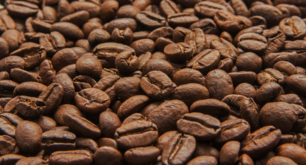 Roasted coffee beans background