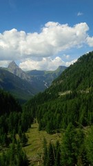 verde sulle Alpi