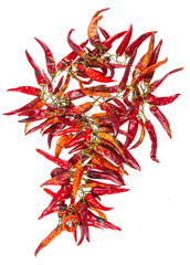 Obraz premium String with dry hot peppers