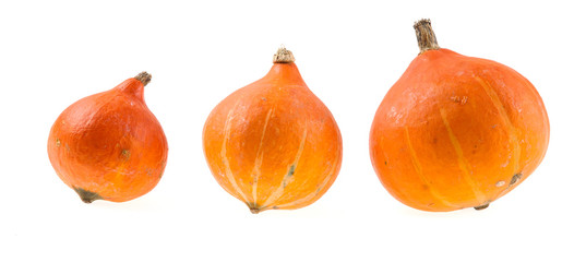 Three Hokaido pumpkins isolated