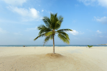 Palm Beach Ocean