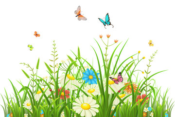 Naklejki  Zielona trawa z kwiatami i motylami na białym tle