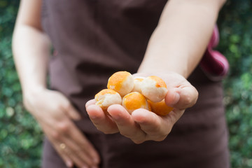 Traditional chinese yellow mini cakes on hand of baker