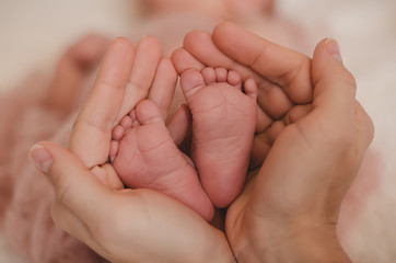 Obraz na płótnie Canvas Newborn's feet in her mother's hands
