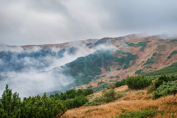 Fototapeta na wymiar Beautiful mountain landscape with fog. Carpathian Mountains, Ukraine