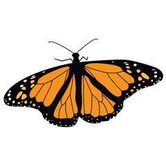 Monarch butterfly