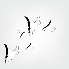 Decorative butterfly set