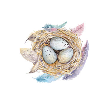  Hand drawn watercolor art bird nest with eggs , easter design. 