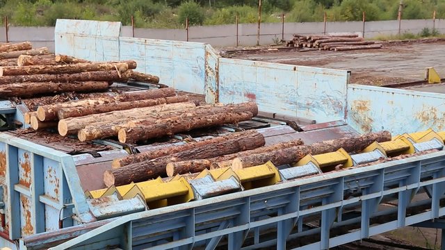 Automatic sorting logs diameter at the sawmill