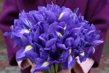 Bouquet of irises in the girl's hands
