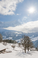 Grindelwald, Dorf, Bergdorf, Eiger, Eigernordwand,  Alpen, Bussalp, Weidli, Schlittelweg, Wanderweg, Wintersport, Winter, Berner Oberland, Schweiz