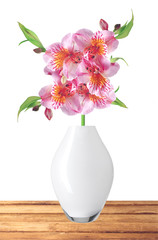 Alstroemeria flowers in vase isolated on white
