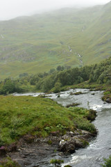 Fototapeta na wymiar Loch Linnhe am südlichen Ende des Great Glen Woods with a View