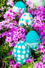 Easter eggs on flowering meadow. selective focus