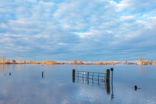 Flooded field in front of the Dutch river IJssel