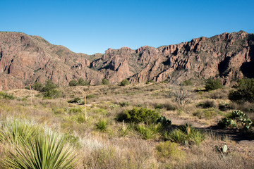 Big Bend National Park