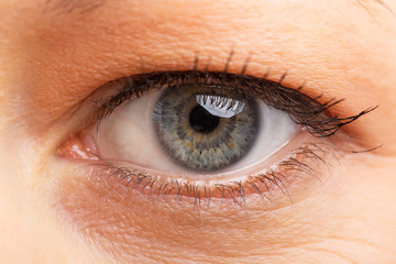 Fototapeta premium Human eye