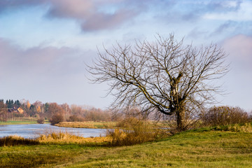 Nad Narwią © podlaski49