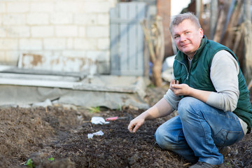 Man cultivates the seeds of radish