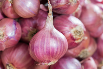 Fototapeta premium Pile of Red Onions