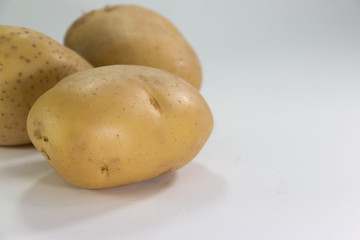 potato on white background