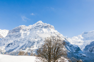 Grindelwald, Bergdorf, Dorf, Alpen, Schreckhorn, Alpen, Schweizer Berge, Gletscherschlucht, Grindelwaldgletscher, Skischule, Winterferien, Winter, Berner Oberland, Schweiz