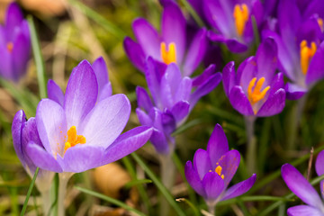 Frühling lässt grüßen
